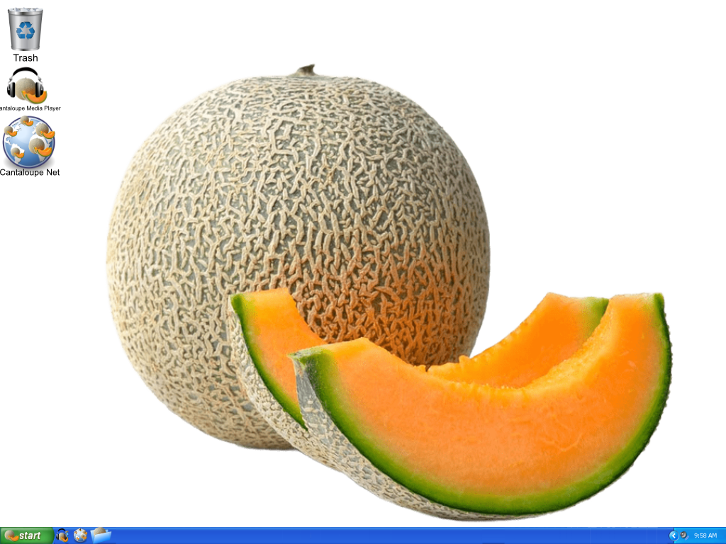 Windows XP, but cantaloupes are everywhere.